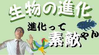 【中学理科】2-15 生物の進化～生物の進化の過程をみよう～【中２理科】