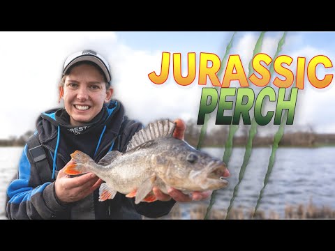 What's your PB Perch?! | Kayleigh Dowd
