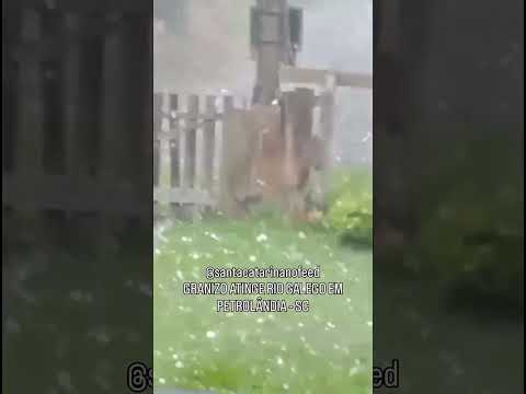 Granizo foi registrado na comunidade de Rio Galego, em Petrolândia (SC), na tarde deste sábado