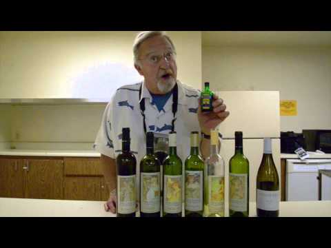 The Somma-liar talks Czech Wine