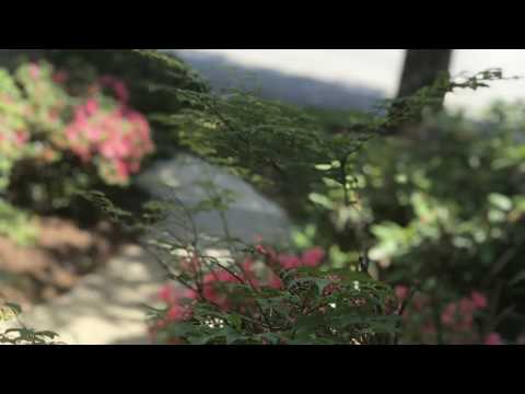 Lifestyle Real Estate on Burbs2Boston.realestate | Bishops Forest in Waltham MA