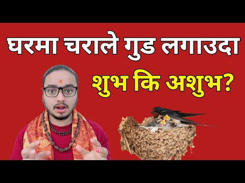 घरमा चराले गुड लगाउदा शुभ कि अशुभ/चराको गुड शुभ अशुभ संकेत/सधै ख्याद राख्नु/shreeguru