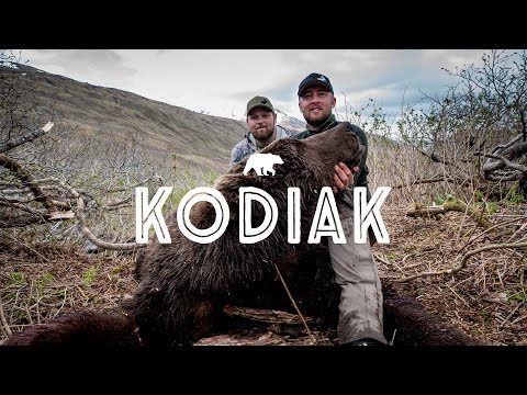 download lagu mp3 mp4 Kodiak Bear Hunts On Kodiak Island, download lagu Kodiak Bear Hunts On Kodiak Island gratis, unduh video klip Kodiak Bear Hunts On Kodiak Island
