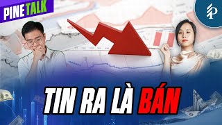 Thị trường “thê thảm” mùa KQKD Quý 3/2024: Vì đâu nên nỗi? | Livestream Pinetalk