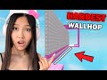 I SpeedRun INSANE ROBLOX WALLHOP TOWERS