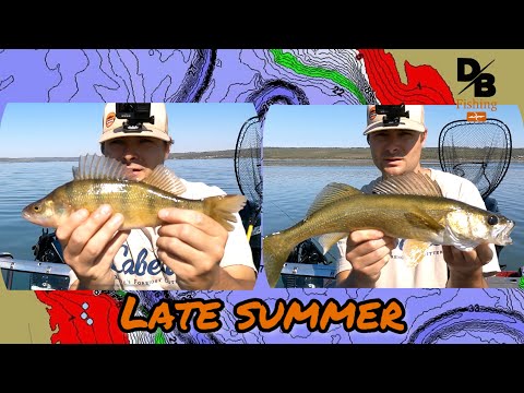LATE SUMMER WALLEYE + PERCH!
