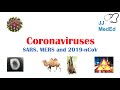 Introduction To Coronaviruses SARS MERS COVID 19 Hosts Symptoms History Of SARS And MERS