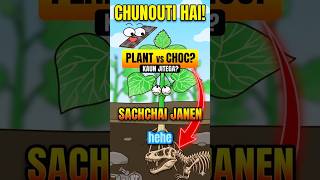 Download lagu The Hidden Danger of Bitter Zucchini Explained 🥒⚠️ mp3
