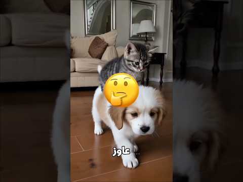 أختهم اتصدمت بسبب الصورة! 😱📸