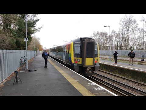 SWR Trainbow Compilation - 444 019