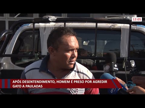 ApoÌs desentendimento, homem eÌ preso por agredir gato a pauladas 12 10 2021