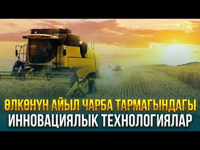 Өлкөнүн айыл чарба тармагындагы инновациялык технологиялар