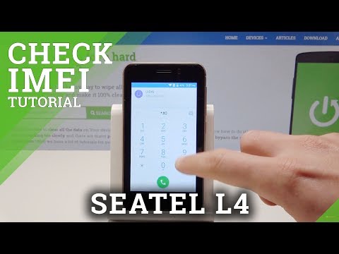 How to Find IMEI Number in Seatel L4 - Locate Serial Number