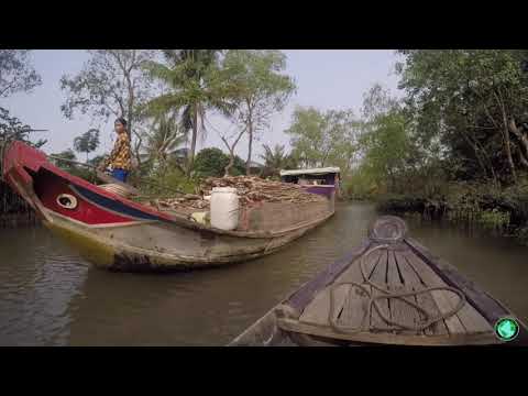 20 - Delta du Mékong - Anh Binh - Vietnam - Avril 2018
