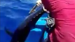 preview picture of video 'طريقة صيد التونة العنيدة مع الريس اليبانى مكس'