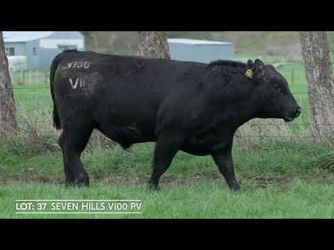 Lot 37  SEVEN HILLS V100 PV