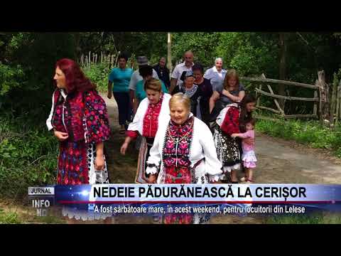 NEDEIE PĂDURĂNEASCĂ LA CERIȘOR