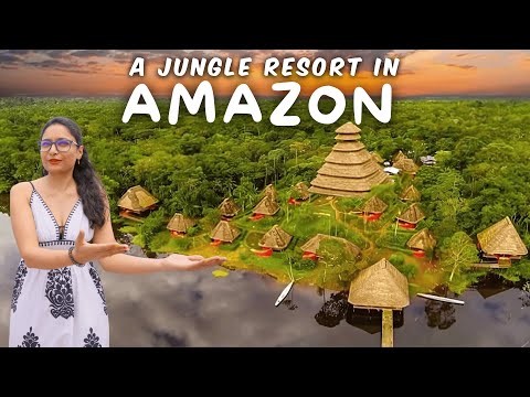 This Amazon Resort is INSANE! You won't believe it Exists (Napo Wildlife Center Ecolodge)