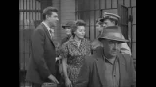 Introduction of Nice Dress Nellie