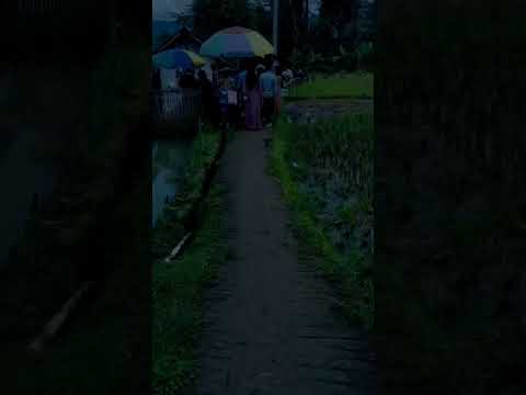 disisi sawah pernikahan adat sunda #shorts