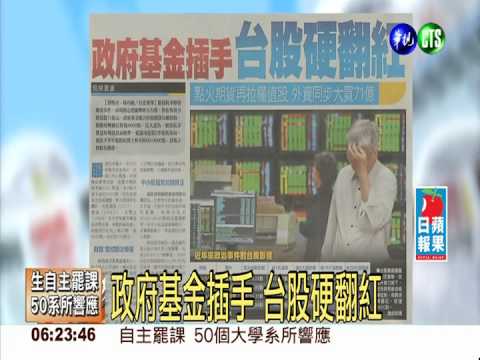 政府基金插手 台股硬翻紅