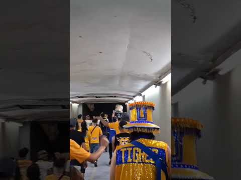 "Saliendo del volcan con los Libres y Lokos" Barra: Libres y Lokos &bull; Club: Tigres