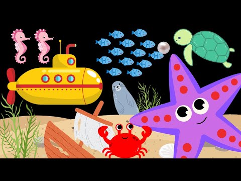 Magical Sea Adventure baby sensory video high contrast calm music