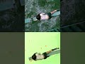Final Destination 5 2011