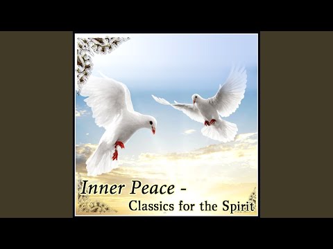 Concerto for Guitar and Strings in D major, RV. 93 : II. Largo