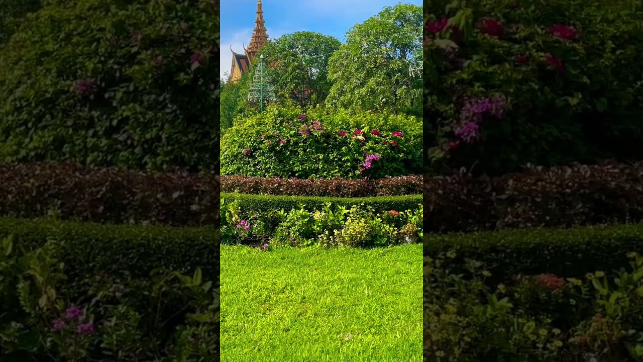 YouTube Short thumbnail