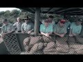 We Gotta Get Out Of This Place - Vietnam War Veterans' Music Video
