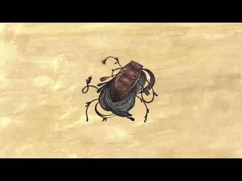 Navega video