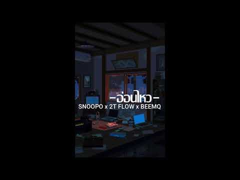 อ่อนไหว-SNOOPO x 2T FLOW x BEEMQ _COVER BY E-EARN_