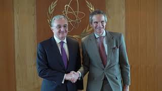 Foreign Minister Zohrab Mnatsakanyan met with Rafael Grossi, Director General of International Atomic Energy Agency (IAEA).