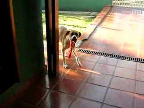 Akira chapadona - 01-08-2007