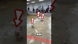 Download lagu Tiny House vs. Waves! Who Can Resist the Most? mp3 Download lagu Tiny House vs. Waves! Who Can Resist the Most? mp3