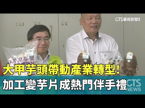 帶動產業轉型！　大甲芋頭加工變芋片　成熱門伴手禮
