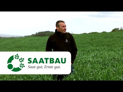 Winterroggen_Bestandesführung