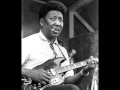 Muddy Waters - I'm ready 