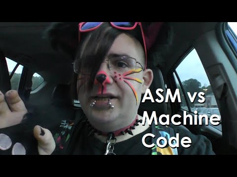 A Cat Explains CPUs, Machine Code, and Assembly Language