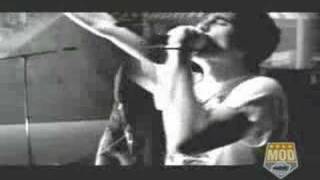 No Transitory - Alexisonfire