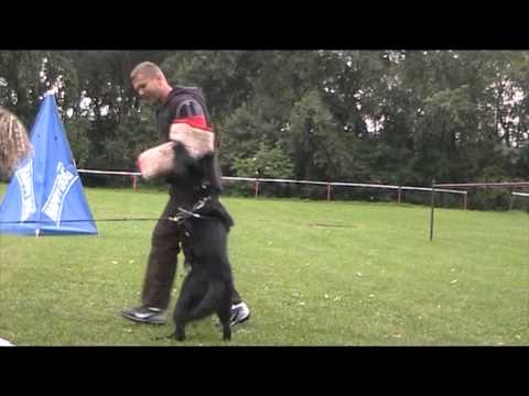 Ackey Levemar - protection Velký Slavkov SK