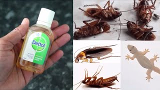 MAGIC DETTOL -  TWO IN ONE || Get Red Off Cockroach, Lizard, Home Fly ||   Home Remady || MR MAKER