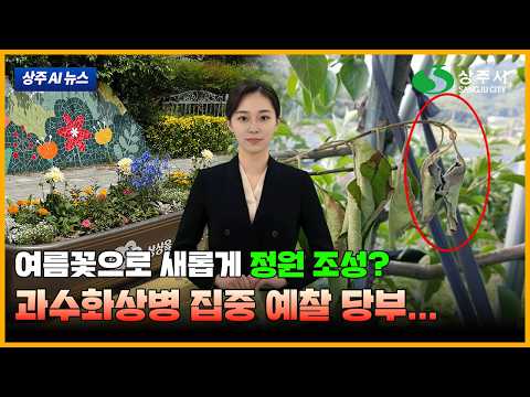 AI 아나운서 수니가 알려주는 상주 AI 뉴스(2026. 6. 1.) #상주시 #상주 #뉴스#ai뉴스