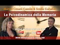 Marco Cesati Cassin Sonia Gabaldo La Psicodinamica Della Memoria