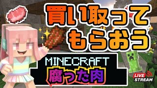 【マインクラフト】村を見つけて取引したい！