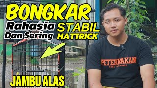 Download lagu Best Green Cucak M3... JAMBU ALAS Stable 1st, 1st, 1st out of 4 sessions mp3 Download lagu Best Green Cucak M3... JAMBU ALAS Stable 1st, 1st, 1st out of 4 sessions mp3