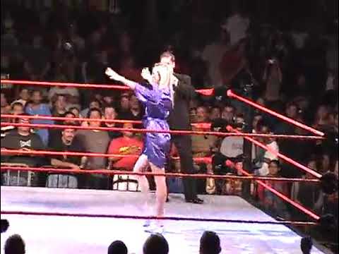 Torrie Wilson vs. Stacy Keibler vs. Ivory WWE Bikini Contest