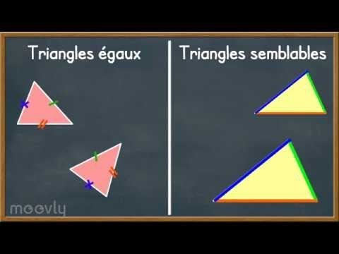 3° Triangles semblables : Angles