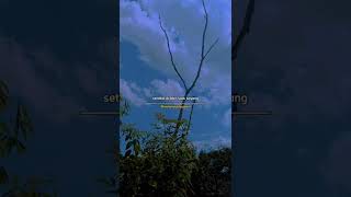 Download lagu Lestari - Mahligaimu dari Airmataku mp3 Download lagu Lestari - Mahligaimu dari Airmataku mp3